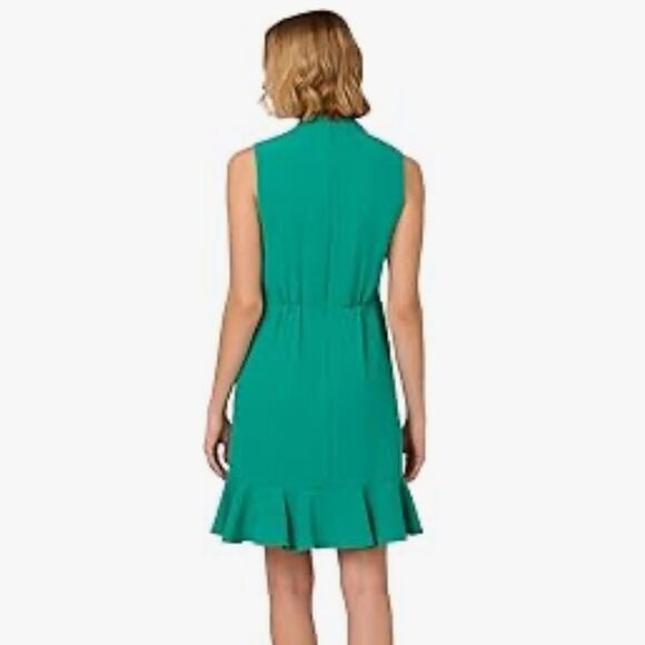 Adrianna Papell AP1D105229 Green Sleeveless Ruffle Hem Chiffon 8 NWT $149 - Picture 3 of 6